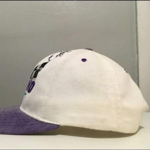 Vintage American Needle Pocono Raceway Signed NASCAR Racing Snapback Hat Purple - Picture 3 of 7